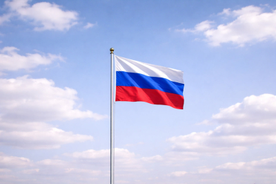 Гуров: релоканты теряют связь с российскими реалиями