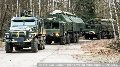 Дубцова рассказала о спасении от аллергии на березу