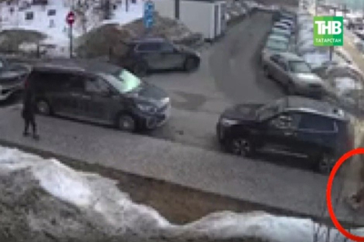 В Казани агрессивная собака напала на девочку и двух домашних питомцев