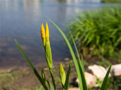 В Татарстане пройдет всероссийский съезд &laquo;Вода России&raquo;
