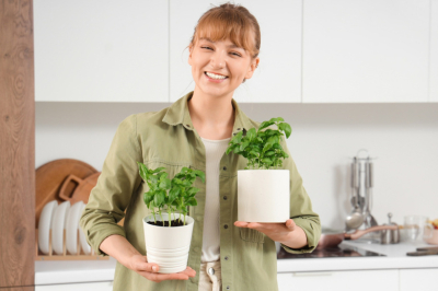 Комнатный садик на подоконнике: что посадить для чая, салата и аромата