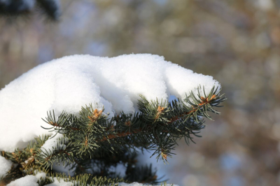 Мощный циклон надвигается на Казахстан