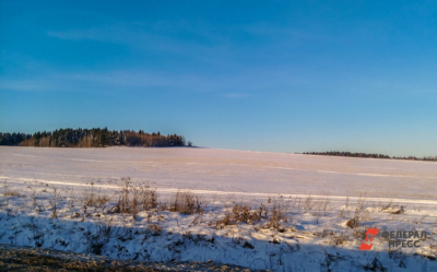 2272 семьи в очереди: какие меры поддержки действуют для многодетных в Удмуртии