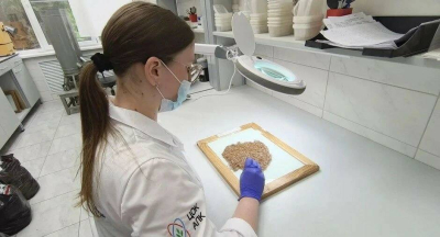 Специалисты Татарстана проверили более 36 тысяч тонн льна
