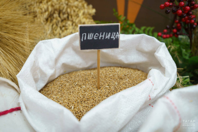 Географию поставок АПК Татарстана планируют расширить за счет стран Северной Африки и ЮВА