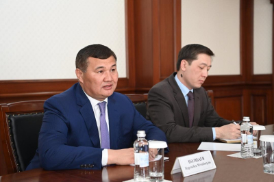 Завод по переработке кукурузы предложили построить в Кызылординской области