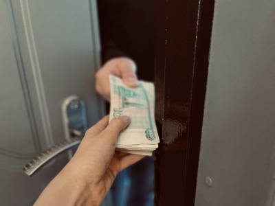 Жертвы мошенников в Татарстане: работающие женщины со средним доходом