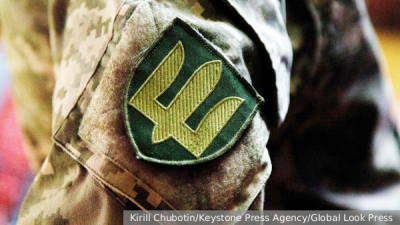 В Германии сообщили о следах антибиотиков в украинских яйцах для ЕС