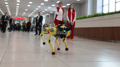 &laquo;Корова, которая будет нести золотые яйца&raquo;: в Татарстане вложат 1,2 млрд в генетику скота 11/04/2026 &ndash; Статьи