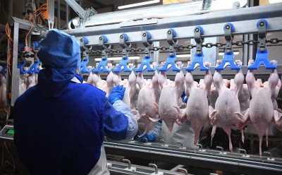 Птицефабрике в Татарстане дано предостережение из-за неучтённых данных в проекте