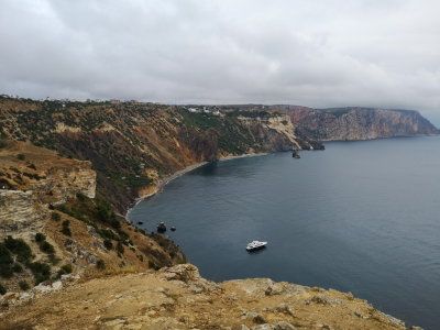 Учёный Ануфриева: крымская водоросль способна заменить йод в кормах для животных